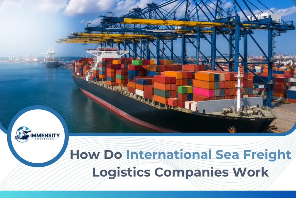 sea freight logistics company